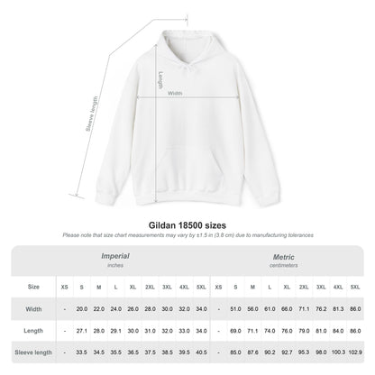 Embroidered Delaware Beach Vibes Hoodie – Retro ‘Delaware’ Surf Graphic