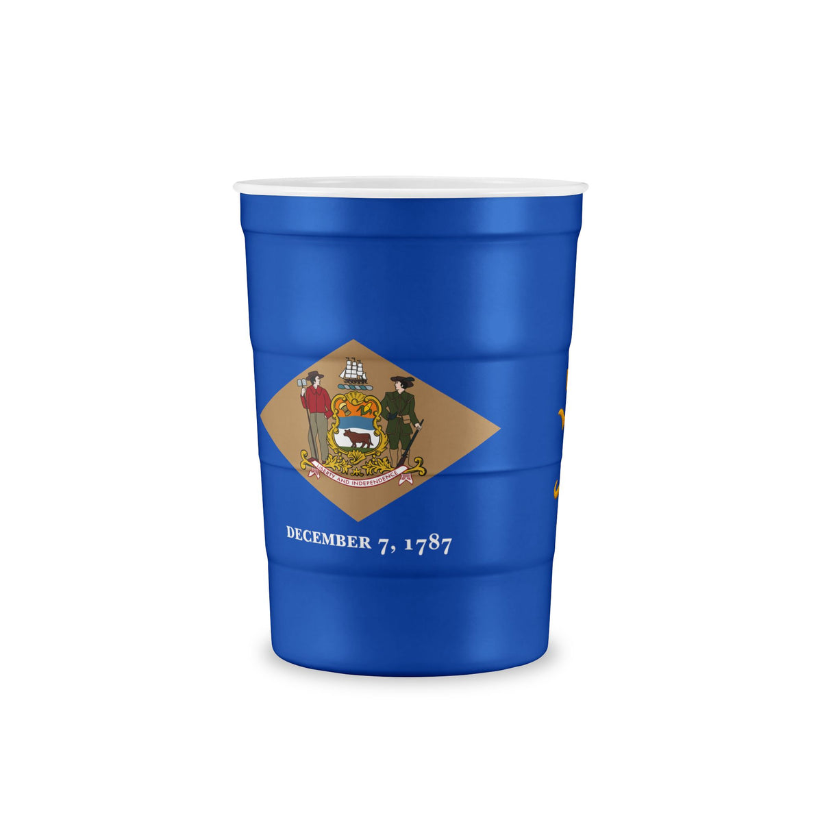 Blue Surf Fishing Steel Cup — Delaware Recreation Permit Design State Flag