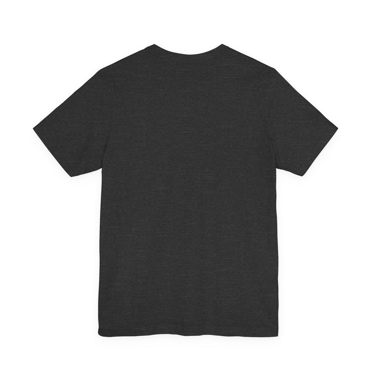 Delaware Surf Fishing Vehicle Permit Tee — Coastal Parks & Recreation Shirt